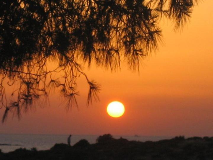 Teras Motel Foca Kültér fotó