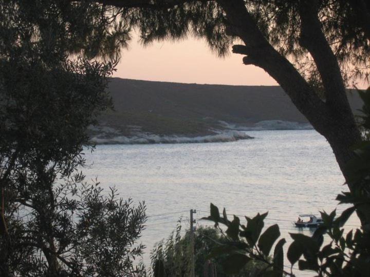 Teras Motel Foca Kültér fotó